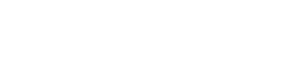 Magefan Blog Logo