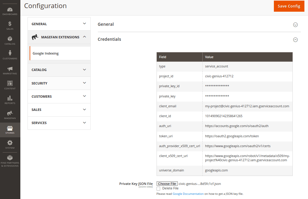 How to Set Up Google Indexing API for Magento Website?