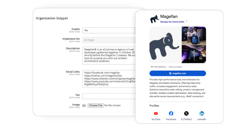 organization snippet magento